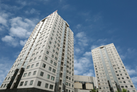 1741932263116831.png f983accd7f7319fe0187beb3ab8da9d.png